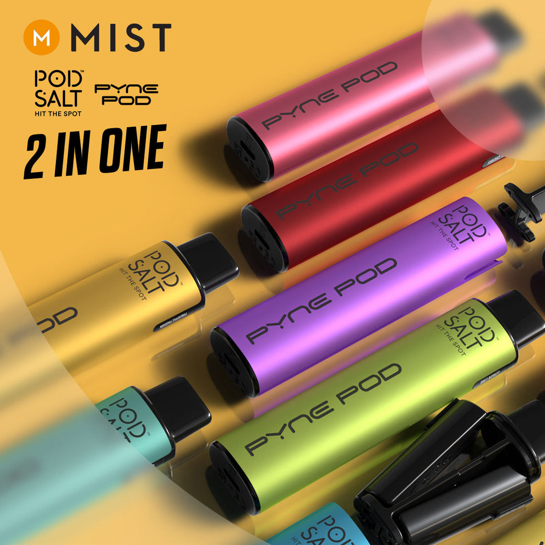 Mist Pod Salt Pyne Pod 2 in ONE review