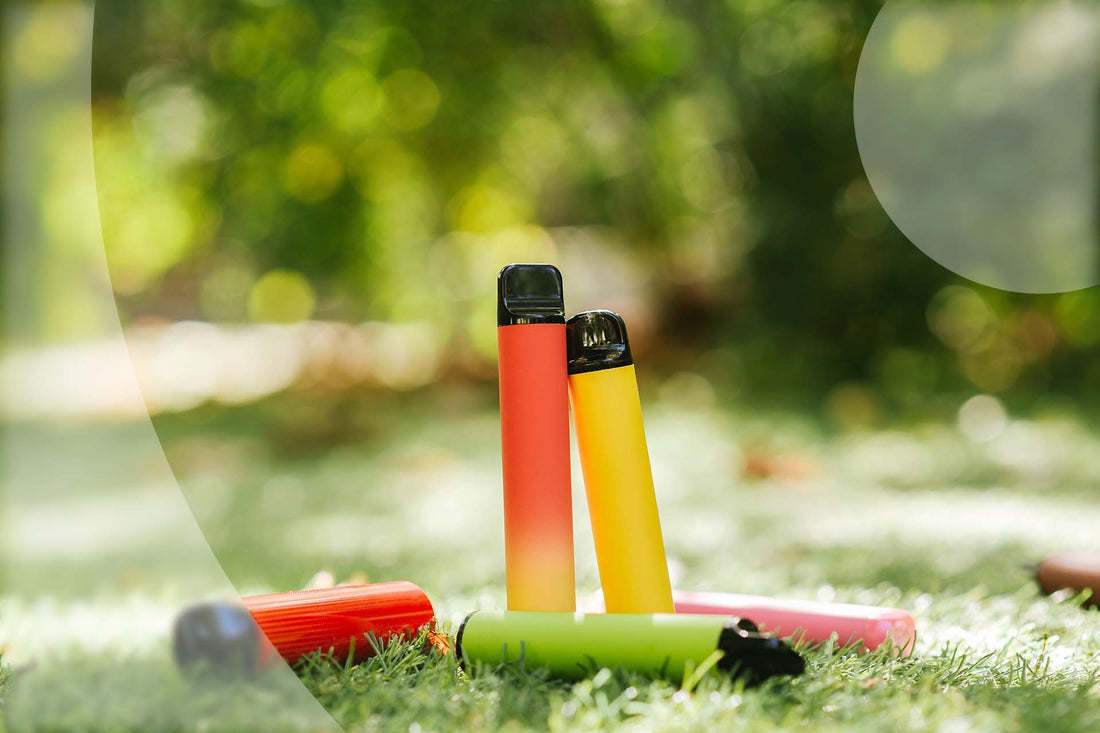 Why France is Saying No to Disposable Vapes